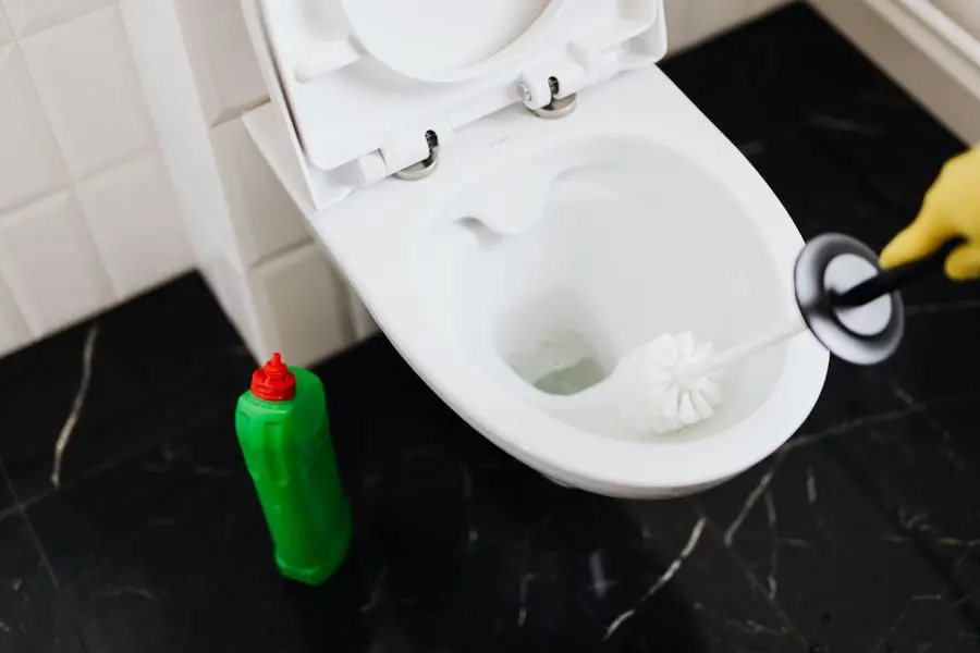 Cuvette de WC et brosse de nettoyage